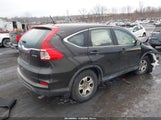 Honda Cr-V Lx 2HKRM4H34FH693152 снимка