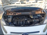 Miniaturka zdjęcia 10