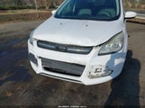 Ford Escape Se 1FMCU0GX7FUA93987 снимка