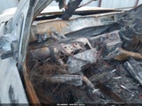 Toyota Tundra Limited 5.7L V8 5TBDV58157S465774 снимка
