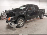 Ford F-150 Xlt 1FTFW1ET0EFA42481 снимка
