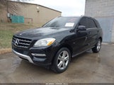 Mercedes-Benz Ml 350 4Matic 4JGDA5HB7CA064256 снимка