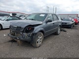 Miniaturka zdjęcia 2