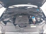 Miniaturka zdjęcia 10