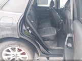 Miniaturka zdjęcia 8