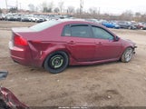 Acura Tl 19UUA66276A043183 снимка