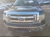 Ford F-150 Xlt 1FTEW1CM5EFC39993 снимка