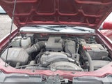Miniaturka zdjęcia 10