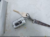 Miniaturka zdjęcia 11
