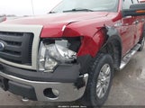 Ford F-150 Fx4/Harley-Davidson/King Ranch/Lariat/Platinum/Xl/Xlt 1FTFW1EV5AKA74460 снимка