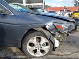 Honda Accord Crosstour Ex-L 5J6TF1H52AL006071 fotografie