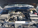 Miniaturka zdjęcia 10