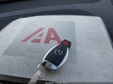 Miniaturka zdjęcia 11