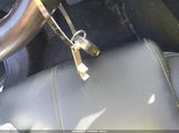 Miniaturka zdjęcia 11