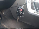 Miniaturka zdjęcia 11