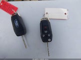 Miniaturka zdjęcia 11