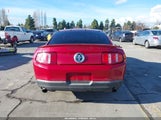 Ford Mustang V6/V6 Premium 1ZVBP8AN4A5137666 fotografie