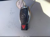 Miniaturka zdjęcia 11