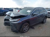 Toyota Rav4 Xle 2T3W1RFV1NW209717 fotografie