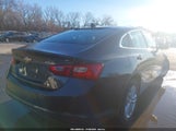 Miniaturka zdjęcia 4