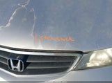 Honda Odyssey Ex-L 5FNRL18964B082721 снимка