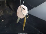 Miniaturka zdjęcia 11