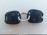 Miniaturka zdjęcia 11