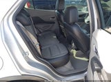 Miniaturka zdjęcia 8