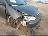 Miniaturka zdjęcia 6