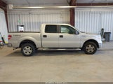 Ford F-150 Fx4/King Ranch/Lariat/Platinum/Xl/Xlt 1FTPW14V69FA93495 photo