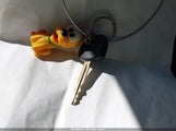 Miniaturka zdjęcia 11