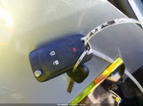 Miniaturka zdjęcia 11