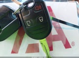 Miniaturka zdjęcia 11