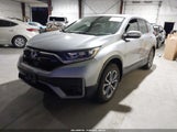 Miniaturka zdjęcia 2