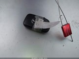 Miniaturka zdjęcia 11