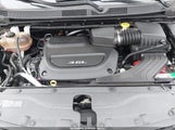 Miniaturka zdjęcia 10