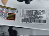 Miniaturka zdjęcia 9