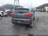 Miniaturka zdjęcia 4