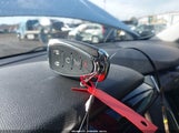 Miniaturka zdjęcia 11
