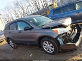 Honda Cr-V Ex 5J6RE48529L005769 снимка
