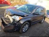 Honda Cr-V Ex 5J6RE48529L005769 снимка