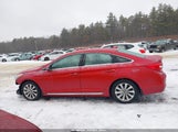 Hyundai Sonata Sport 5NPE34AF5HH545567 снимка