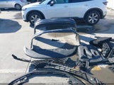 Honda Accord Se 1HGCY1F44SA006324 photo