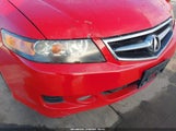 Acura Tsx JH4CL96936C019453 снимка
