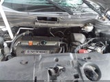 Honda Cr-V Ex-L 5J6RE487X8L017992 fotografie