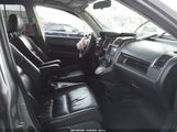 Miniaturka zdjęcia 5