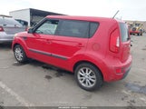 Miniaturka zdjęcia 3
