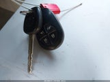 Miniaturka zdjęcia 11