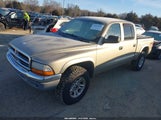 Dodge Dakota Slt 1D7HG48N43S198697 снимка