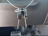 Miniaturka zdjęcia 11